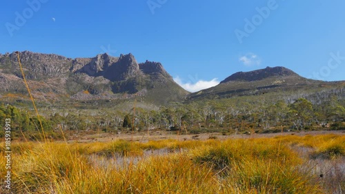 mt ossa and buttongrass plants on the overland track in cradle mountain national park, australia photo