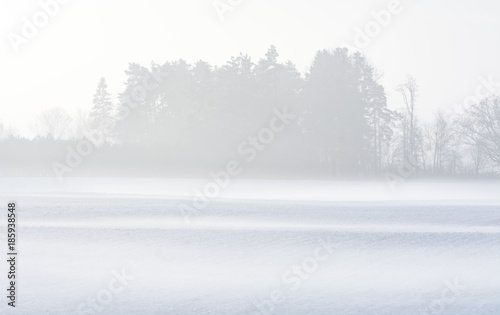 First snow in countryside. Fields covered in fog, icy roads and snow covered trees. © Viesturs