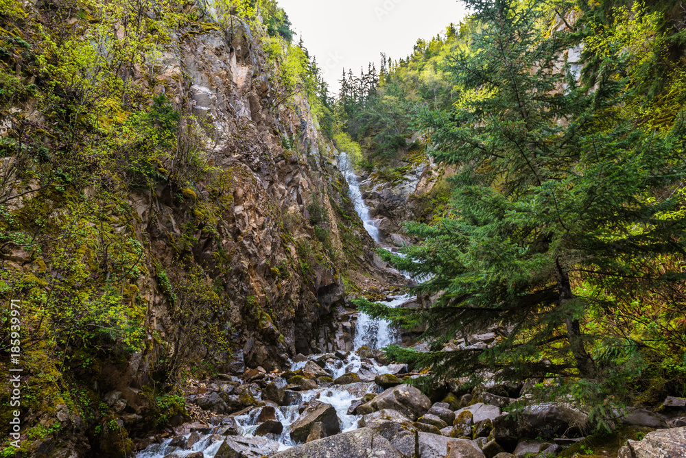 A Mountain Stream