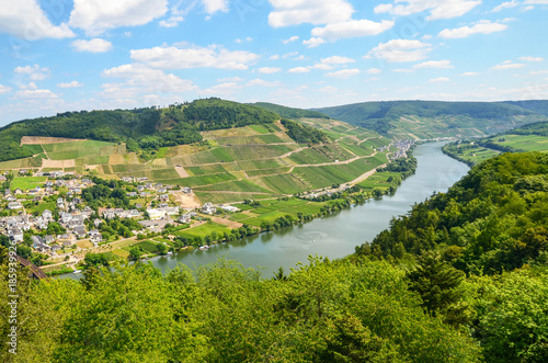 Fototapeta Naklejka Na Ścianę i Meble -  Moselle Valley Germany: View to river Moselle near village Puenderich and Marienburg Castle - Mosel wine region, Germany Europe