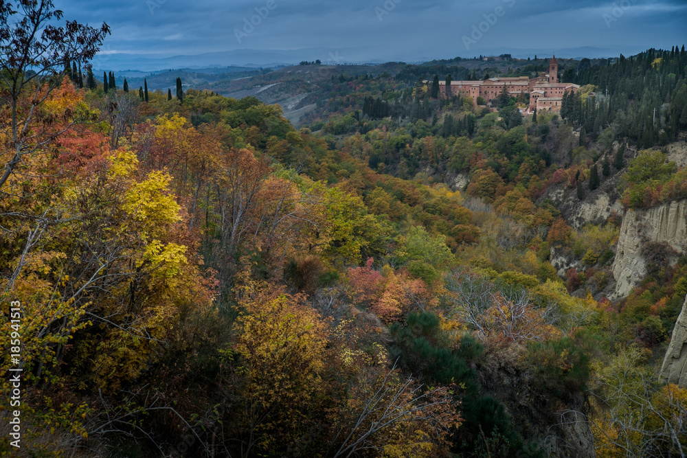 Autumnal trekking in the province of Siena, from Buonconvento to Monte Oliveto Maggiore Abbey Autumnal trekking in the province of Siena, from Buonconvento to Monte Oliveto Maggiore Abbey