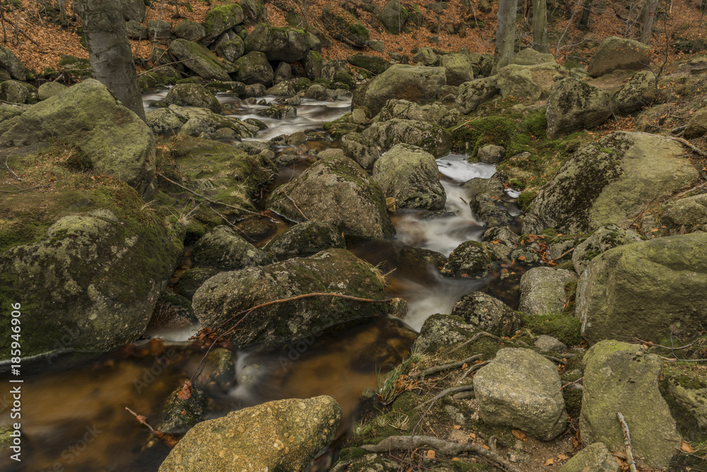 Obraz premium Cerny creek in Jizerske mountains in dark day