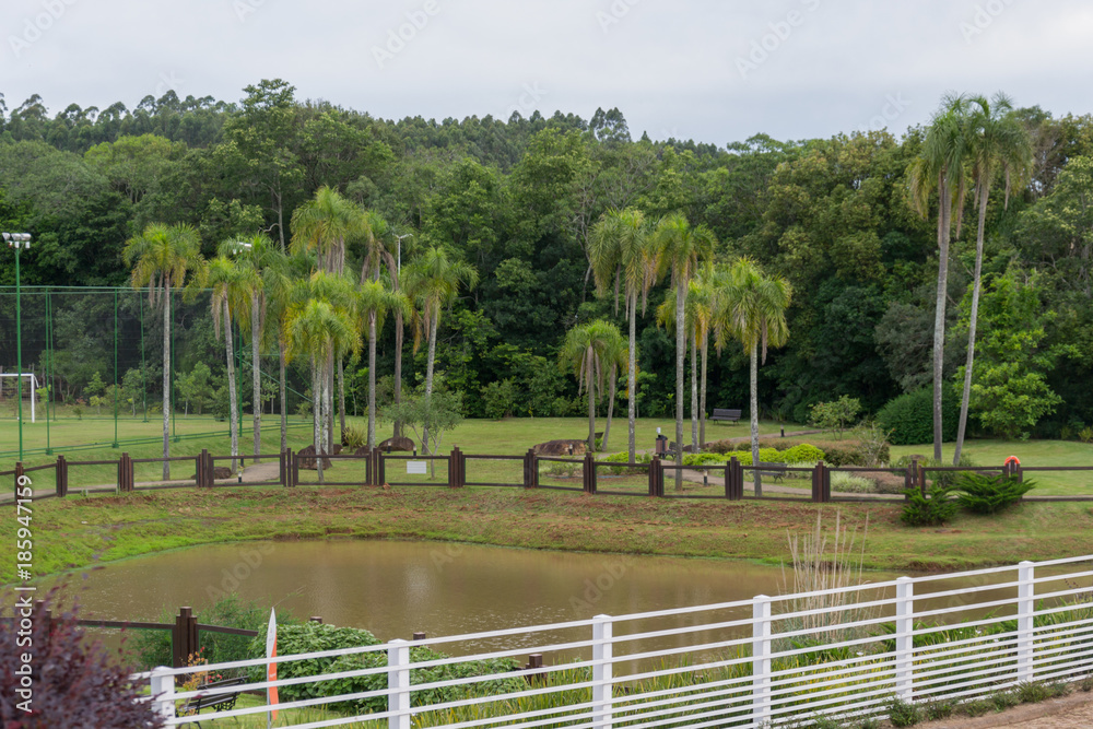 View of lake, trees and part of a soccer field on a beautiful house condominium in Brazil. Date of the picture: November 3, 2017 View of lake, trees and part of a soccer field on a beautiful house condominium in Brazil. Date of the picture: November 3, 2017