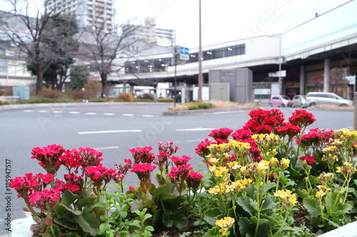 埼玉　武蔵浦和駅前 © kawa10