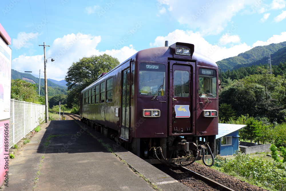 Obraz premium わたらせ渓谷鐵道小中駅