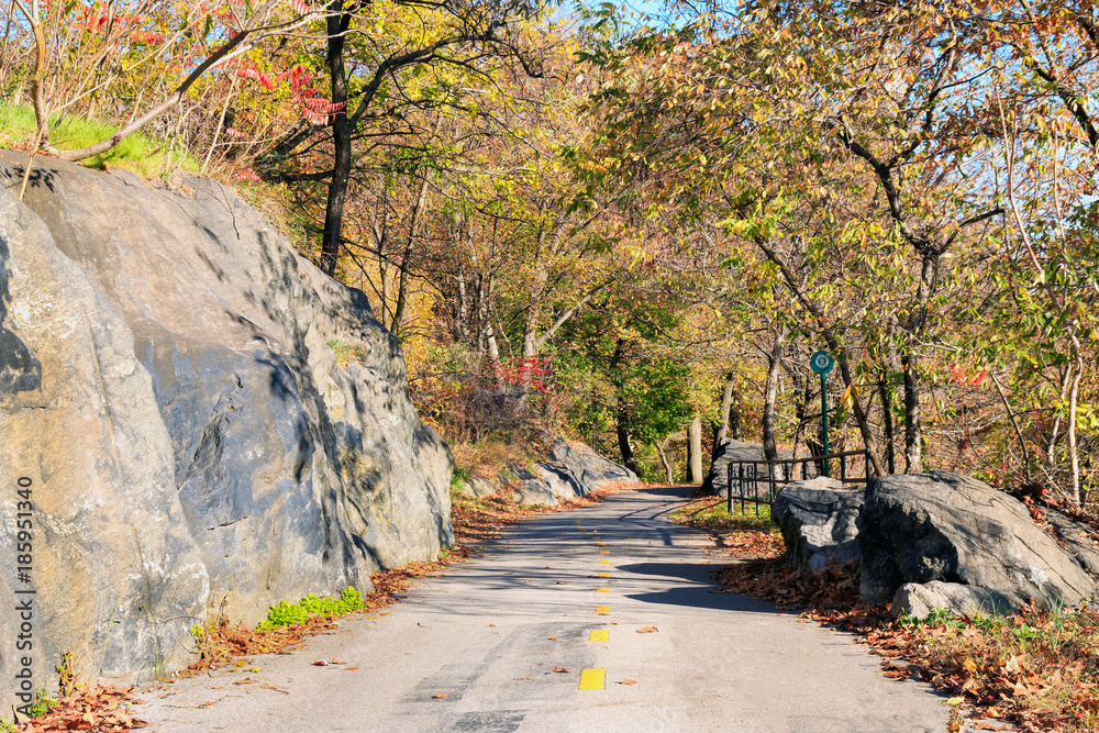Highbridge Park Autumn - New York City Highbridge Park Autumn - New York City