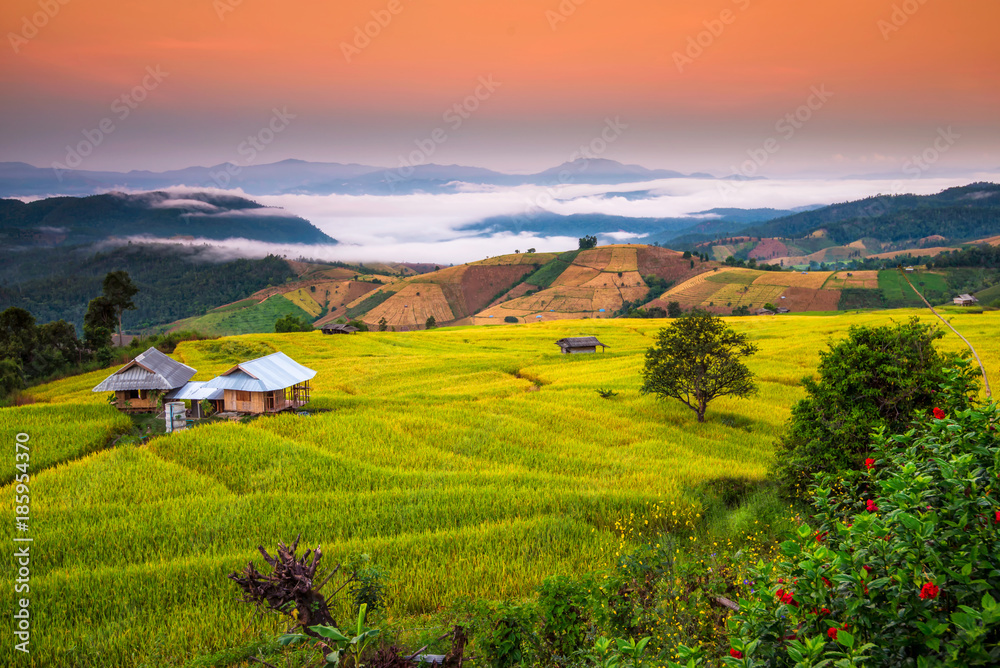 Obraz premium Terraced Paddy Field in Mae-Jam Village , Chaingmai Province , Thailand