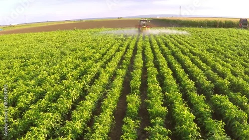 The tractor pulls machine for a spraying in a field of peppers. Aerial footage.