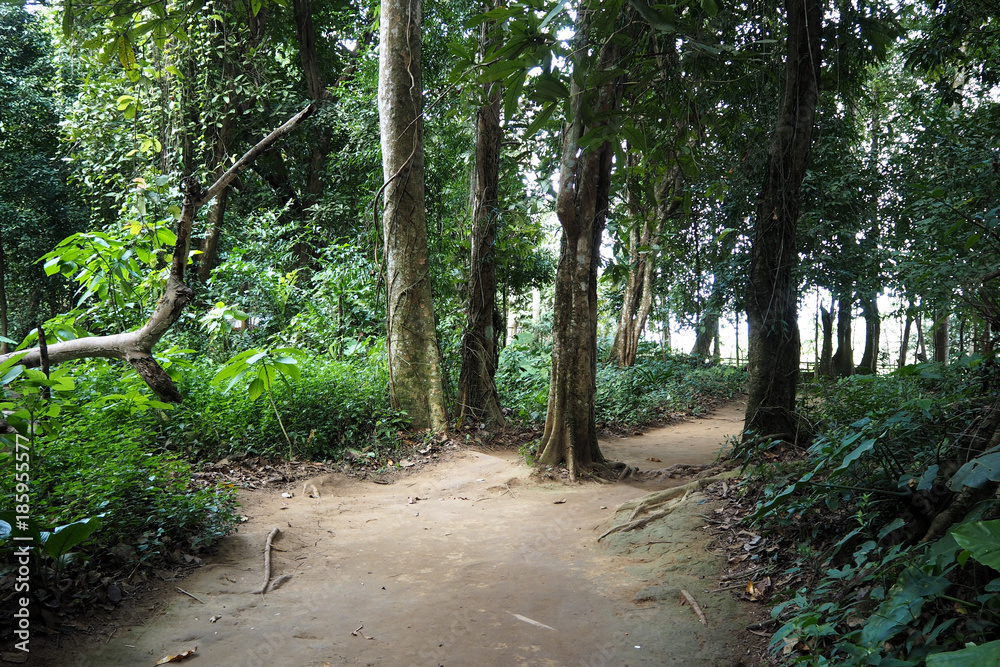 Fototapeta premium trekking way is good for travel