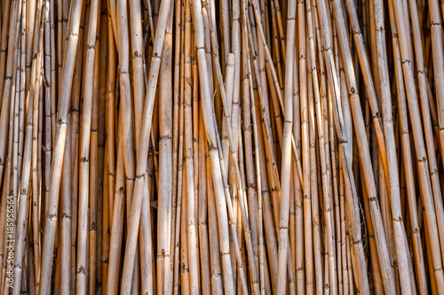 Wall of bamboo poles as a graphic background, stacked vertically
