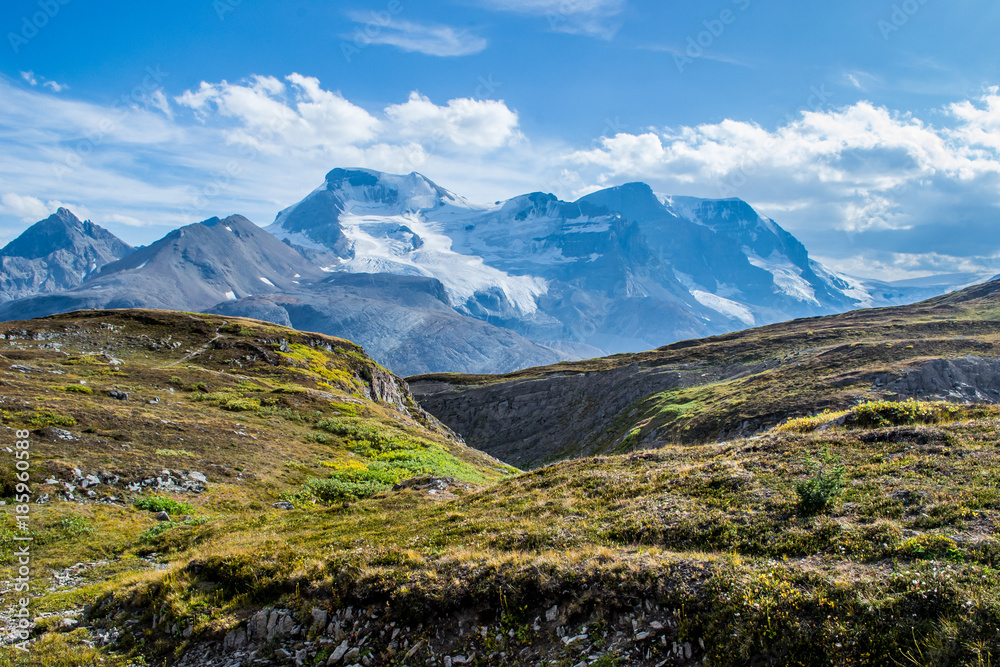 Wilcox Pass Jasper National Park. Wilcox Pass Jasper National Park.