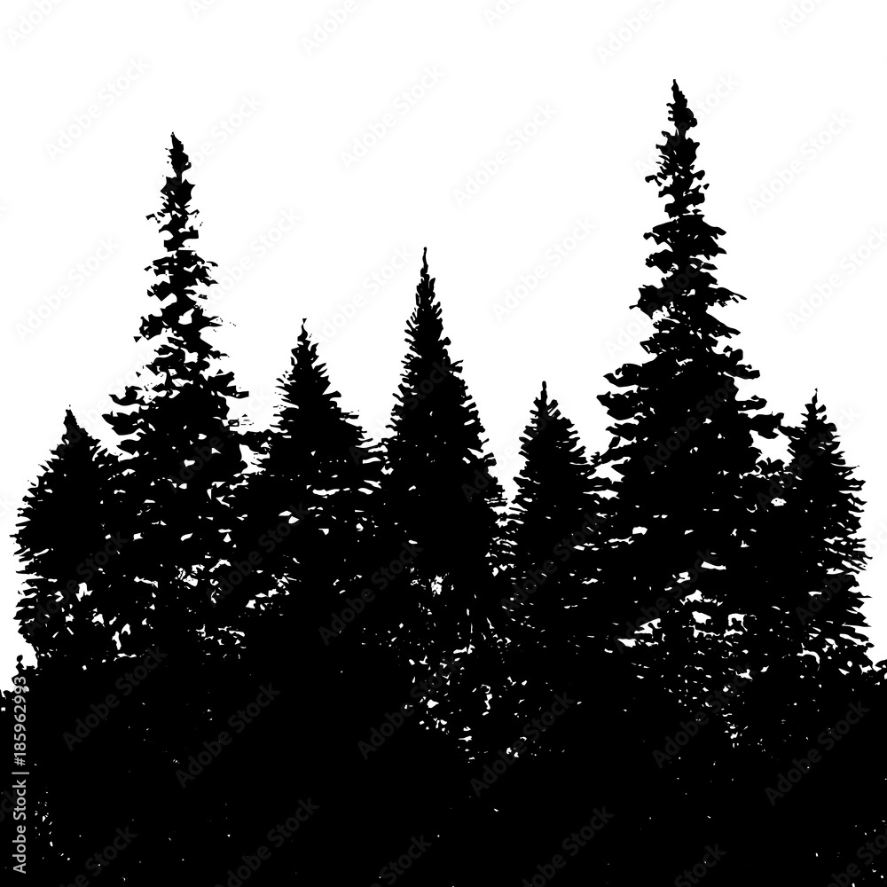 Fototapeta premium vector landscape with fir trees
