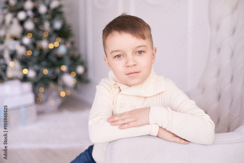 Christmas interior. Beautiful portrait. Little boy. Horizontally