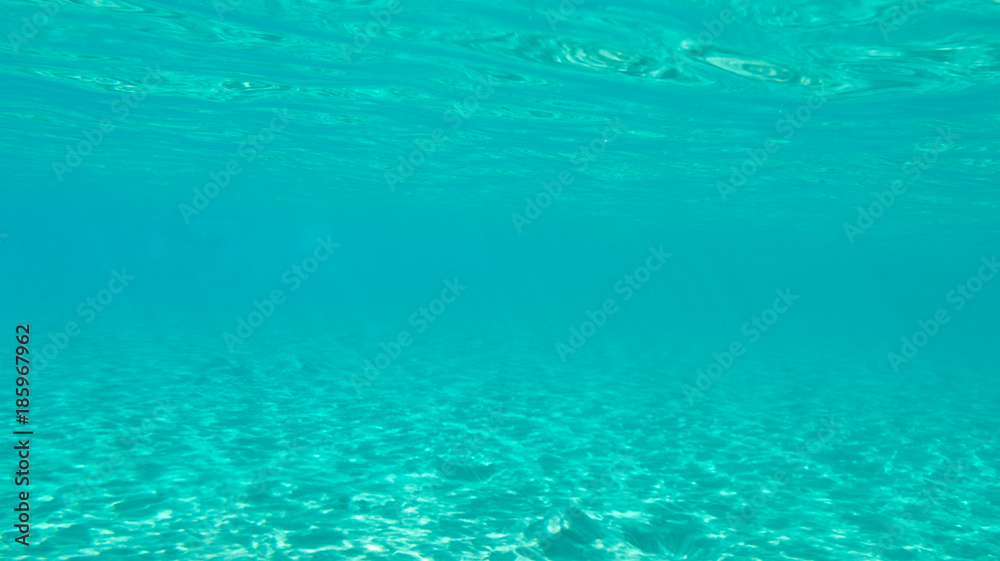 underwater background underwater background