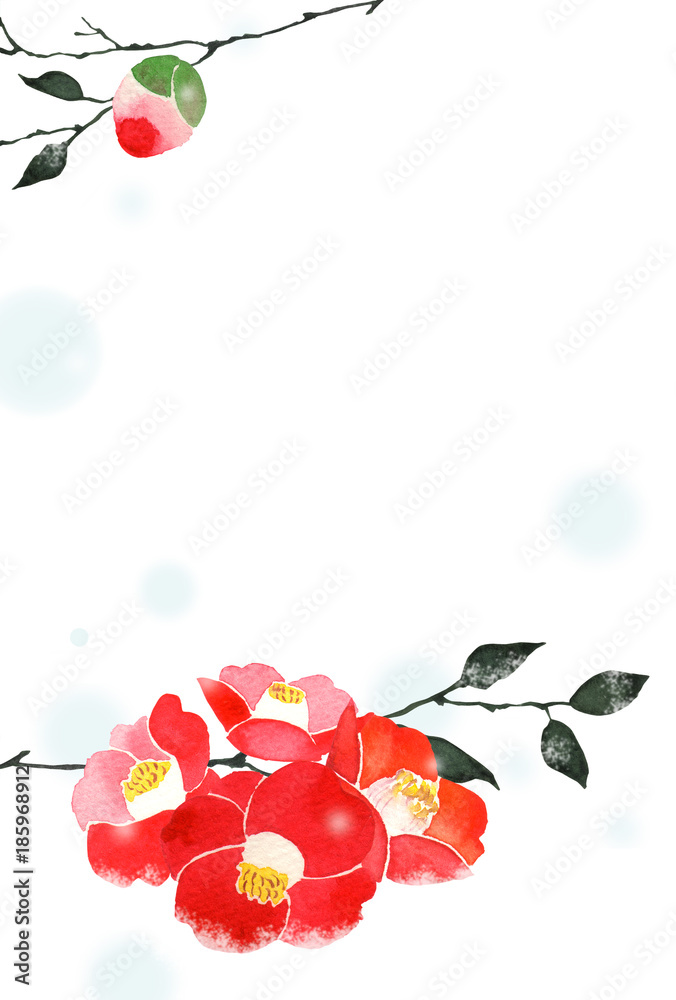椿 背景 フレーム 寒中見舞い 水彩 イラスト Stock Illustration Adobe Stock