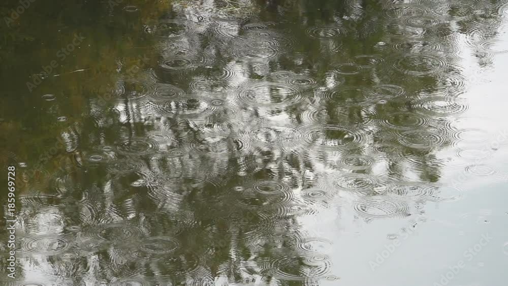 Drops of rain on river Drops of rain on river