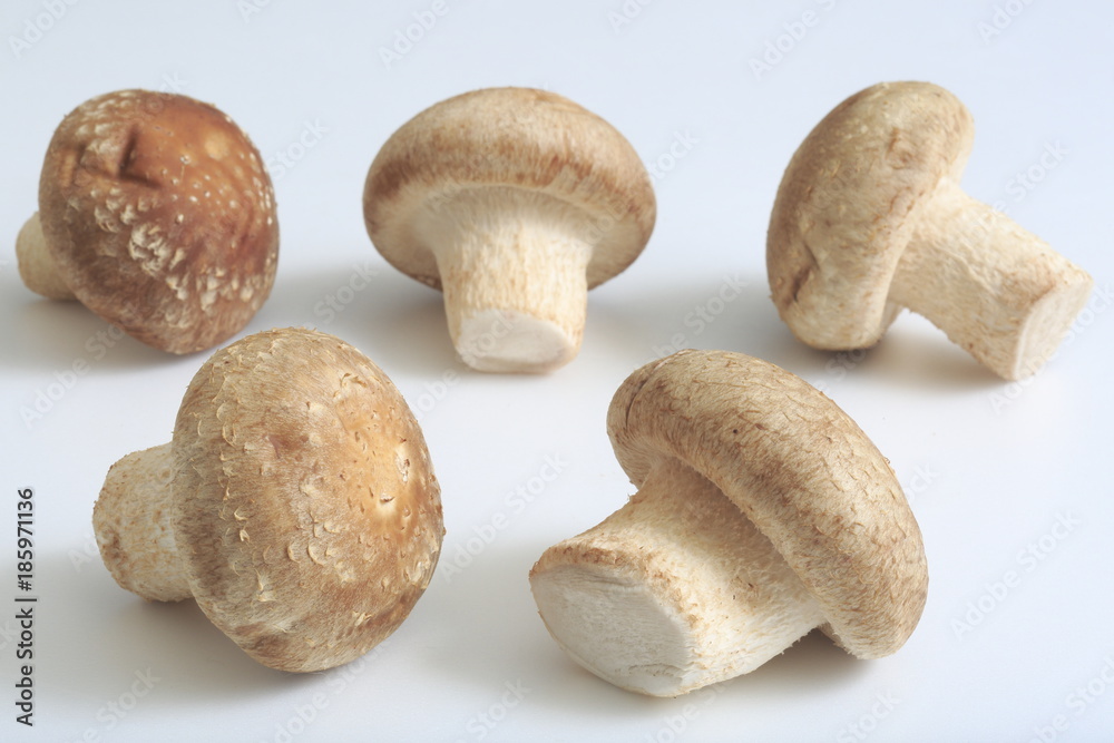 Fresh shiitake mushroom from Miyagi Prefecture Fresh shiitake mushroom from Miyagi Prefecture