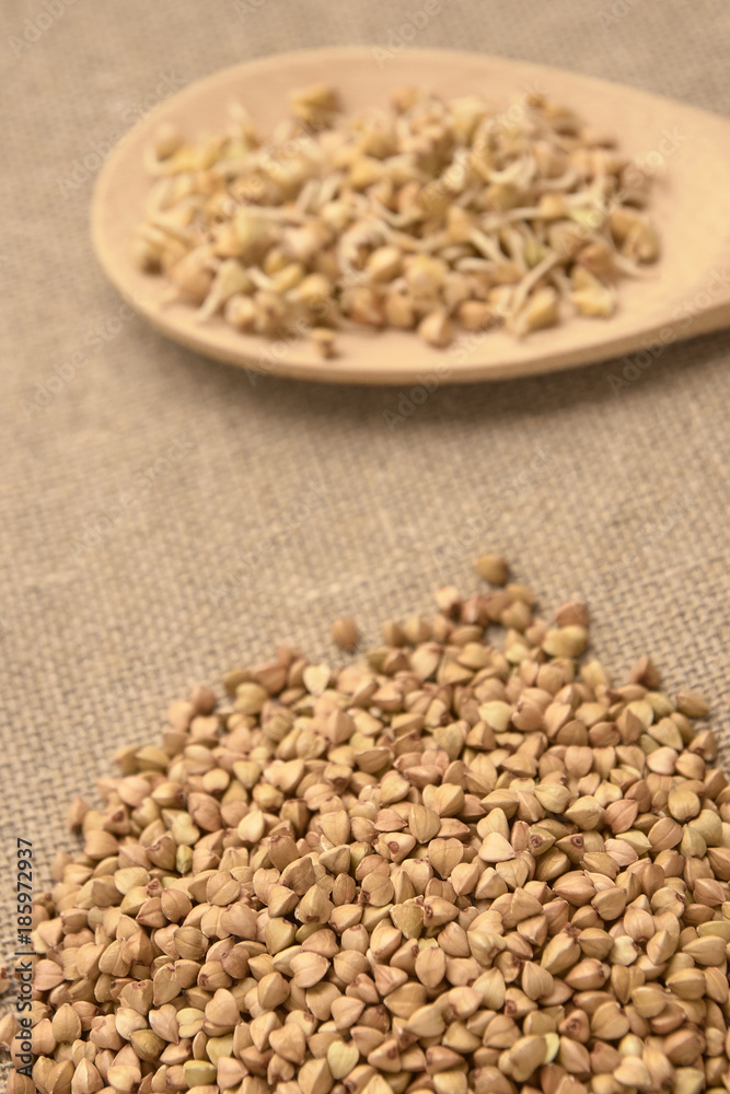 Buckwheat grain. Beans sprouts. Wooden spoon. Natural background