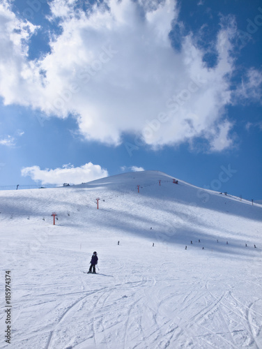 北海道スキー場 ニセコ