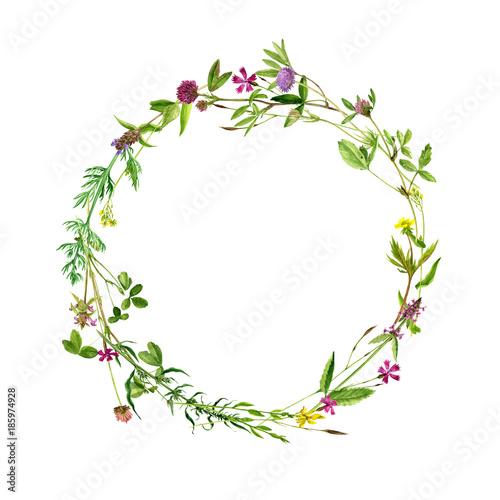 watercolor wreath flowers and plants