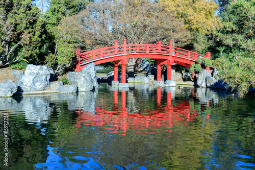 Japanese Friendship Garden in Kelley Park. San Jose, Santa Clara County, California, USA. photo
