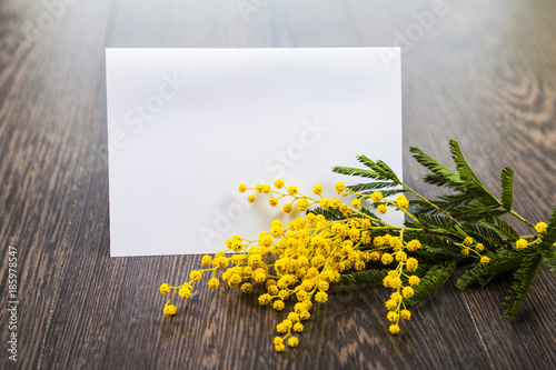 Mimosa and paper on a wooden background