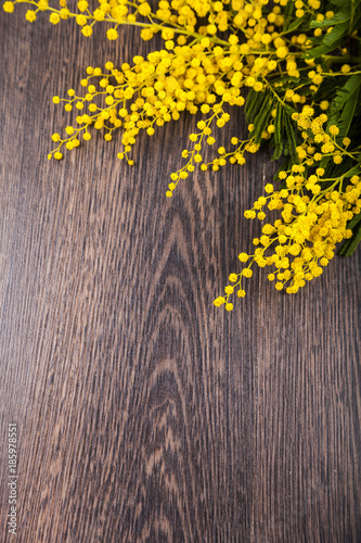 Yellow mimosa on a wooden background.