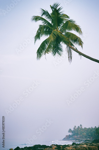 Beautiful black beach in Varkala, Kerala, India photo