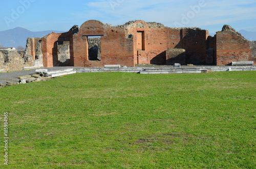 Ruins of the Ancient City of Pompeii