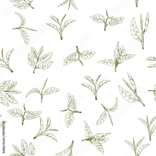 seamless pattern with green tea, hand-drawn leaves and branches of tea