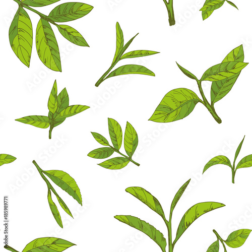 seamless pattern with green tea, hand-drawn leaves and branches of tea © marinam111