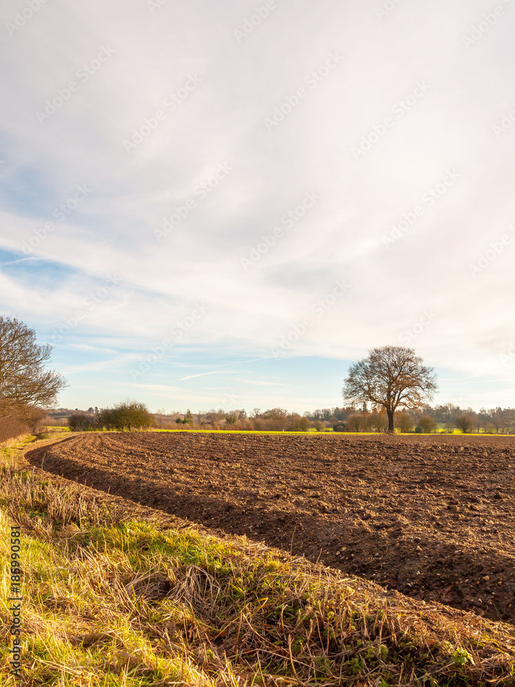 brown ploughed agricultural field outside farm landscape sky ground dirt tree brown ploughed agricultural field outside farm landscape sky ground dirt tree
