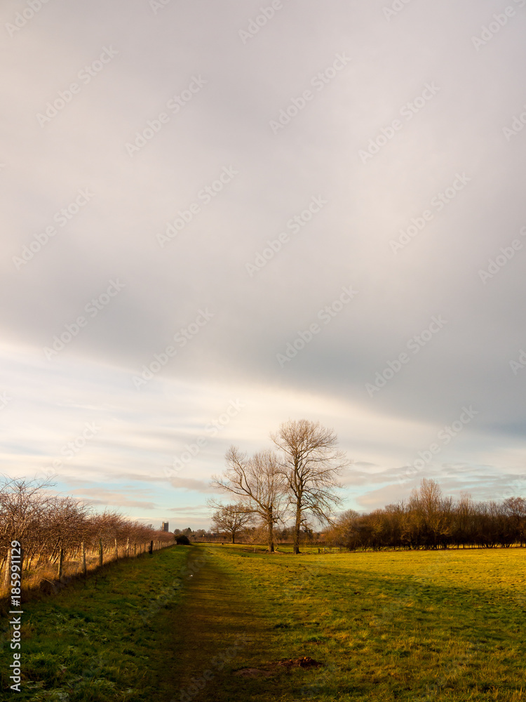 Obraz premium country landscape empty open space tree line sky