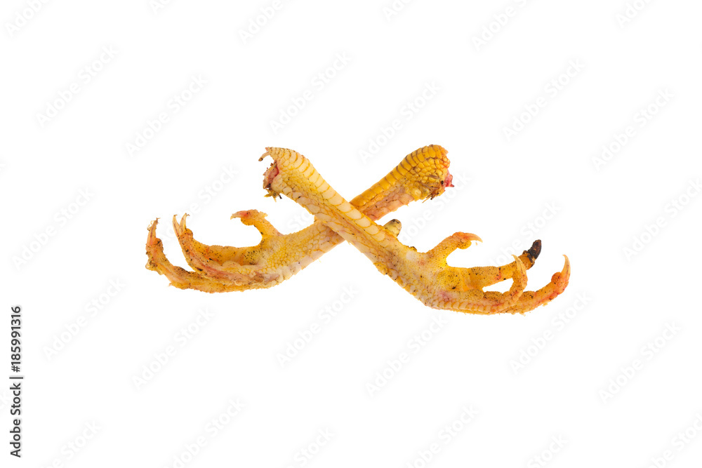chicken foot, claws isolated on white background chicken foot, claws isolated on white background