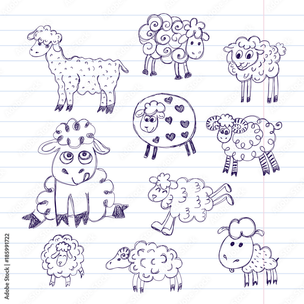 Sheep breeding. Vector illustration for your cute design. Sheep breeding. Vector illustration for your cute design.