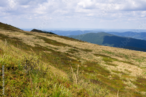 Polish mountains Bieszczady National Park . Carpathian Mountains