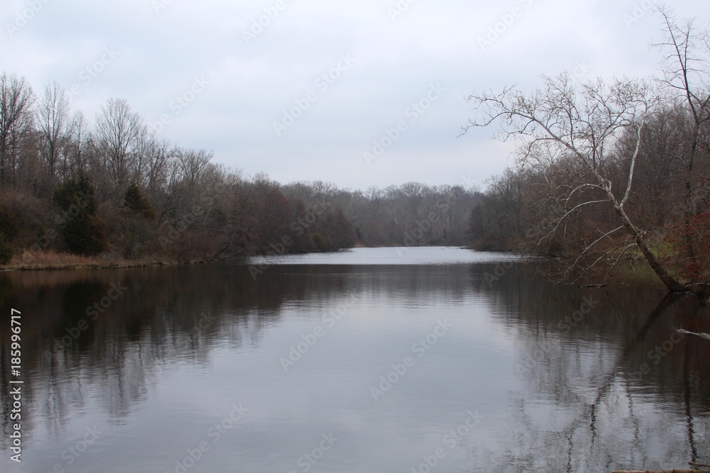 The reflections off the water of the lake in the park. The reflections off the water of the lake in the park.