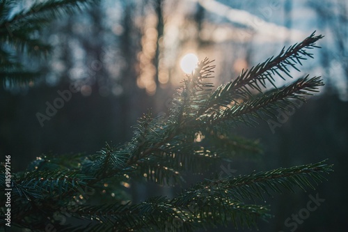 Photos Processed with VSCO with hb2 preset