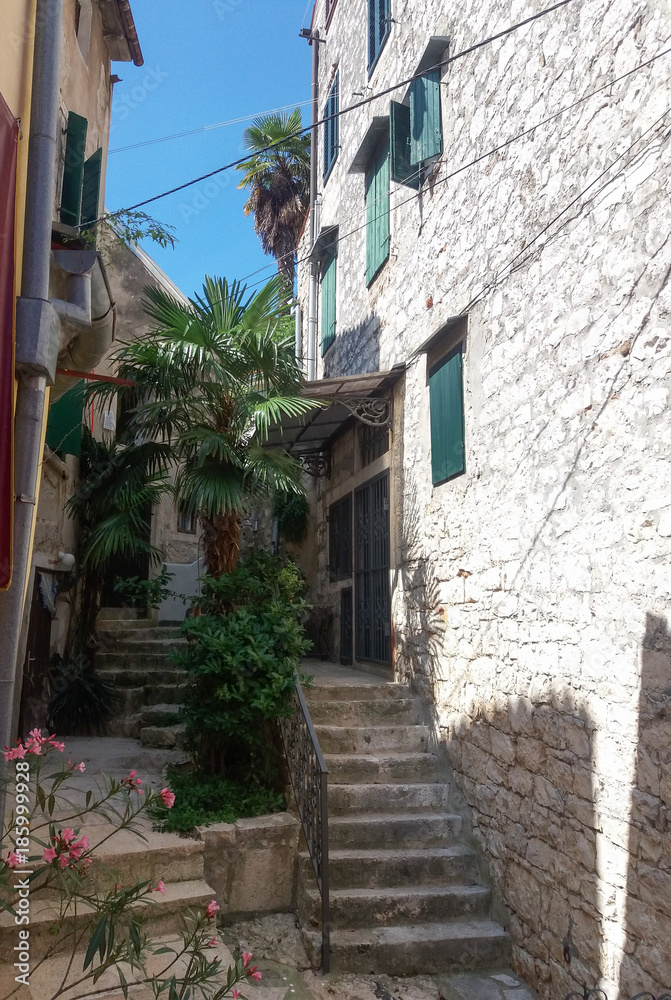 Fototapeta premium View of the city of Rovinj