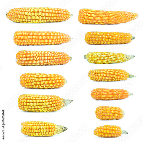 set of dried corn on white background