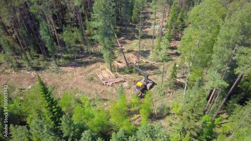 ProRes. Logging from aerial view, Siberian forest.