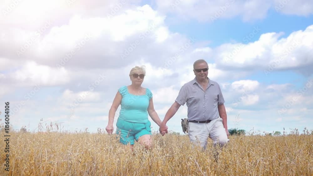 High quality video of senior couple walking in the oat field in real 1080p slow motion 250fps High quality video of senior couple walking in the oat field in real 1080p slow motion 250fps