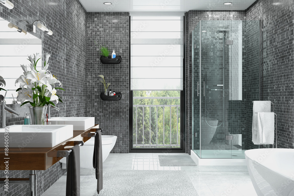 Modernes Badezimmer in weiß und schwarz mit Dusche, Badewanne, WC, Bidet  und zwei Waschbecken mit einem großen Spiegel Stock Illustration | Adobe  Stock