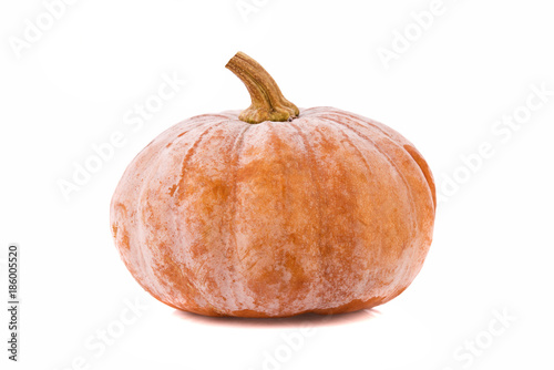 pumpkin squash isolated on white background