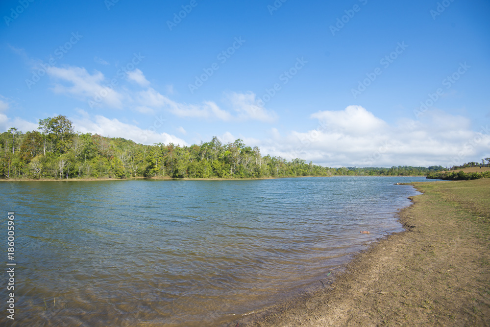 Beautiful view of forest with lake against blue sky