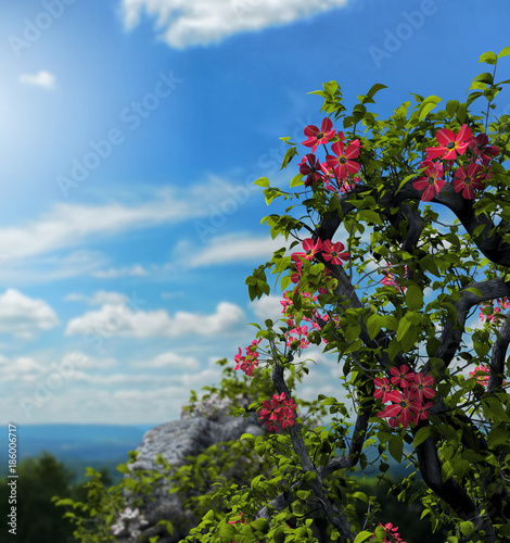 Fotografie Ivy Flowers Ruins on a Hill