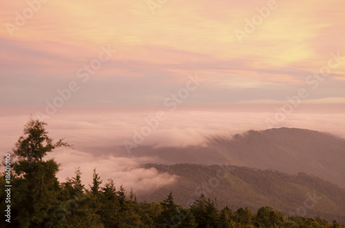 Beautiful mountain landscape  with mountain peaks covered with forest and a cloudy sky