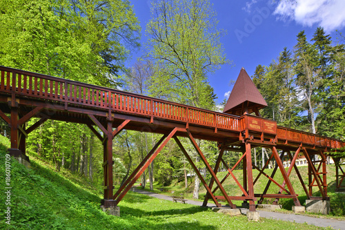 Wooden bridge in forest, Bardejovske Kupele, Slovakia