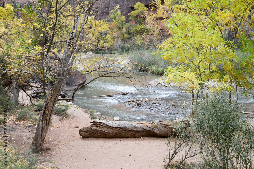 Zion park in USA Zion park in USA