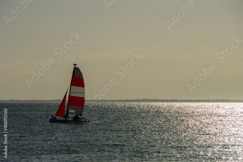 USA, Florida, Sailing ship in the wind of the ocean with sun reflections